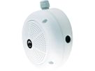 MOBOTIX Q26B Fisheye Kamera 6 MP, 180°/360° Tag