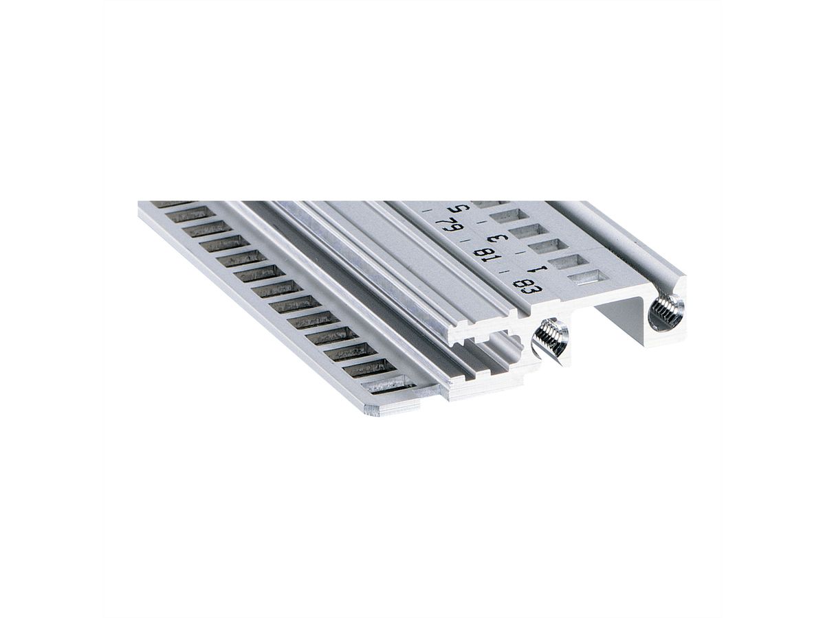 SCHROFF Typ H-LD stabil, langes Dach - MODULSCH. VORNE 40TE H LD