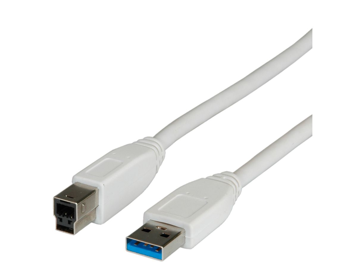 STANDARD USB 3.1 Gen 1 Kabel, Typ A-B, beige, 3 m