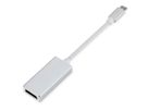 VALUE Display Adapter Typ C - DisplayPort, 4K60Hz