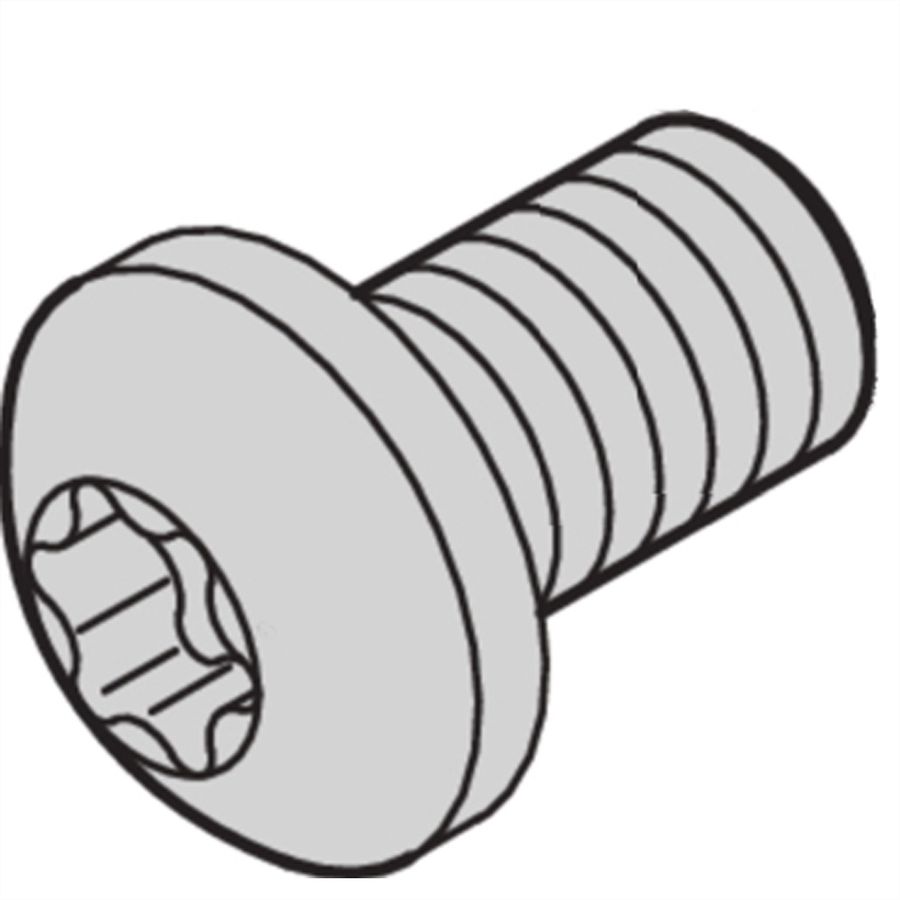 SCHROFF Torx-Linsenkopfschraube - LIKOSR M2.5X6 TORX 100STK