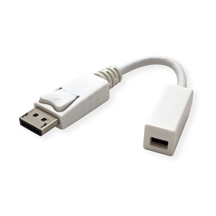 ROLINE DisplayPort Adapter, DP Stecker - Mini DP Buchse