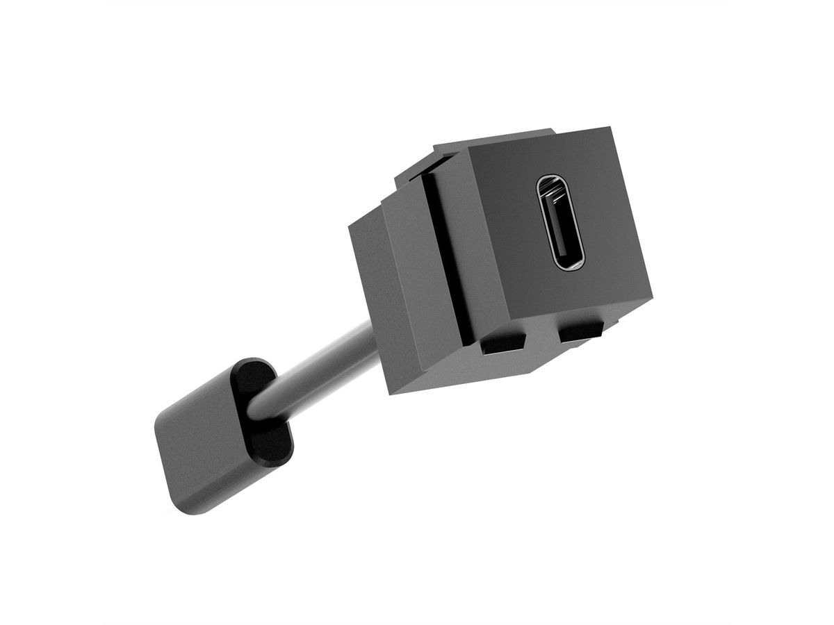 BACHMANN Keystone USB 3.2 Kupplung C/C PD 100W