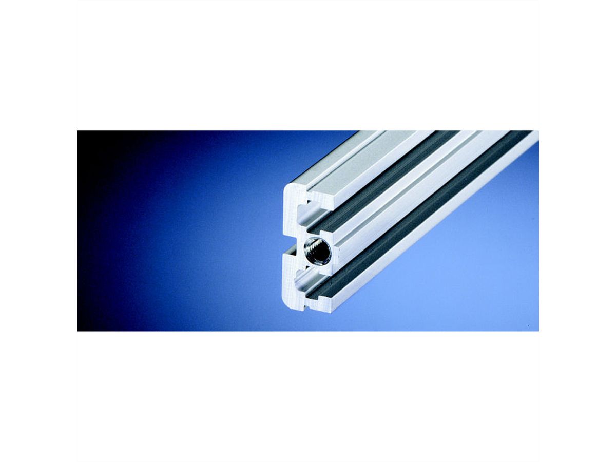 SCHROFF Modulschiene mitte, Typ ST - MODULSCH. MITTE 1MT ST