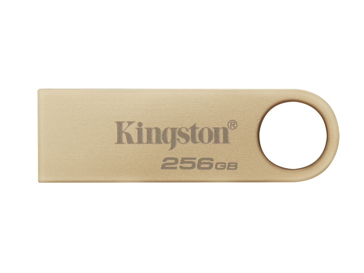 Kingston Technology DataTraveler 256GB 220MB/s Metall-USB-Stick 3.2 Gen 1 SE9 G3