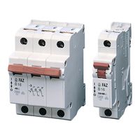 SCHROFF Sicherungsautomat 3 x 16 A - SI-AUTOMAT 3X16A