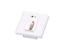ATEN VE607 DVI/Audio  Cat5 Extender Wandplatte