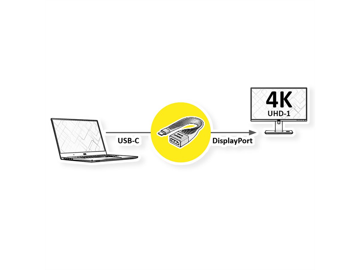 ROLINE Display Adapter USB Typ C - DP, ST/BU, 0,13 m