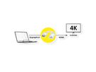ROLINE DisplayPort-HDMI Adapter, v1.2, DP Stecker-HDMI Buchse, Aktiv