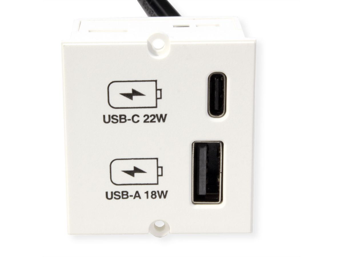 BACHMANN Custom Modul USB Charger Typ A & C 22W, Quickcharge, weiß