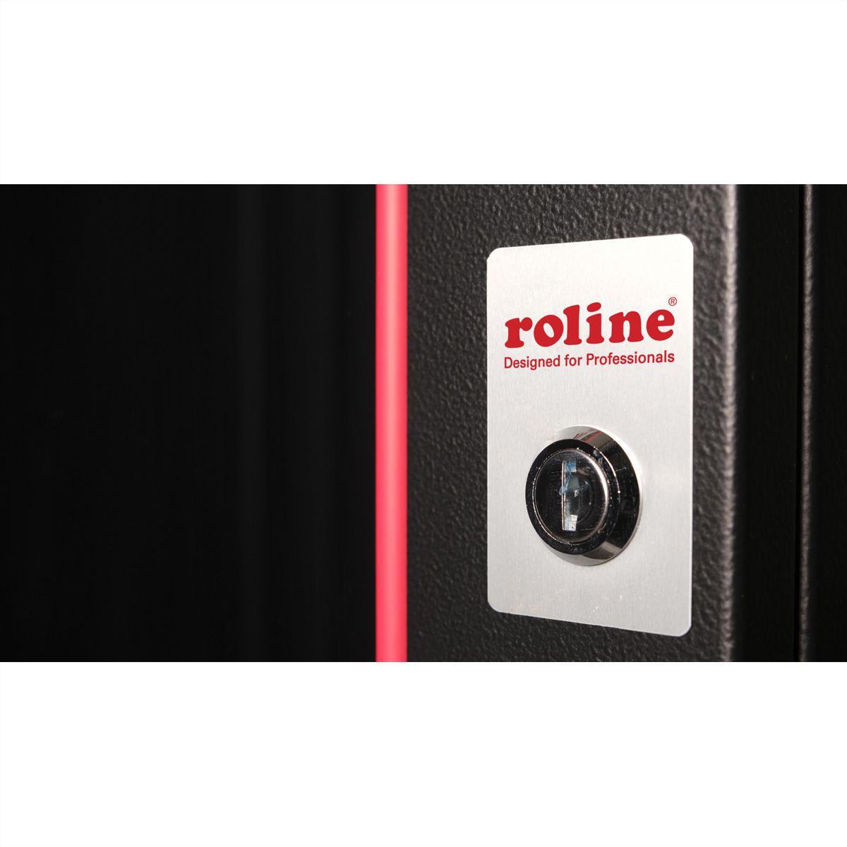 ROLINE 19-Zoll Wandgehäuse Pro 20 HE, 600x450 BxT schwarz