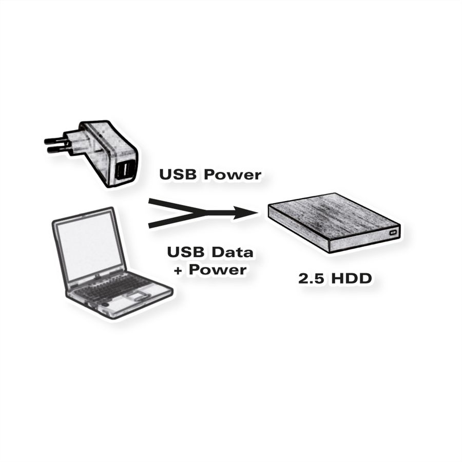 ROLINE USB 2.0 Y-Kabel, 2x Typ A (ST / BU) - Micro B ST, 1m