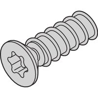 SCHROFF Torx-Schraube - NTS LISEKO M2.5X5 (100STK)