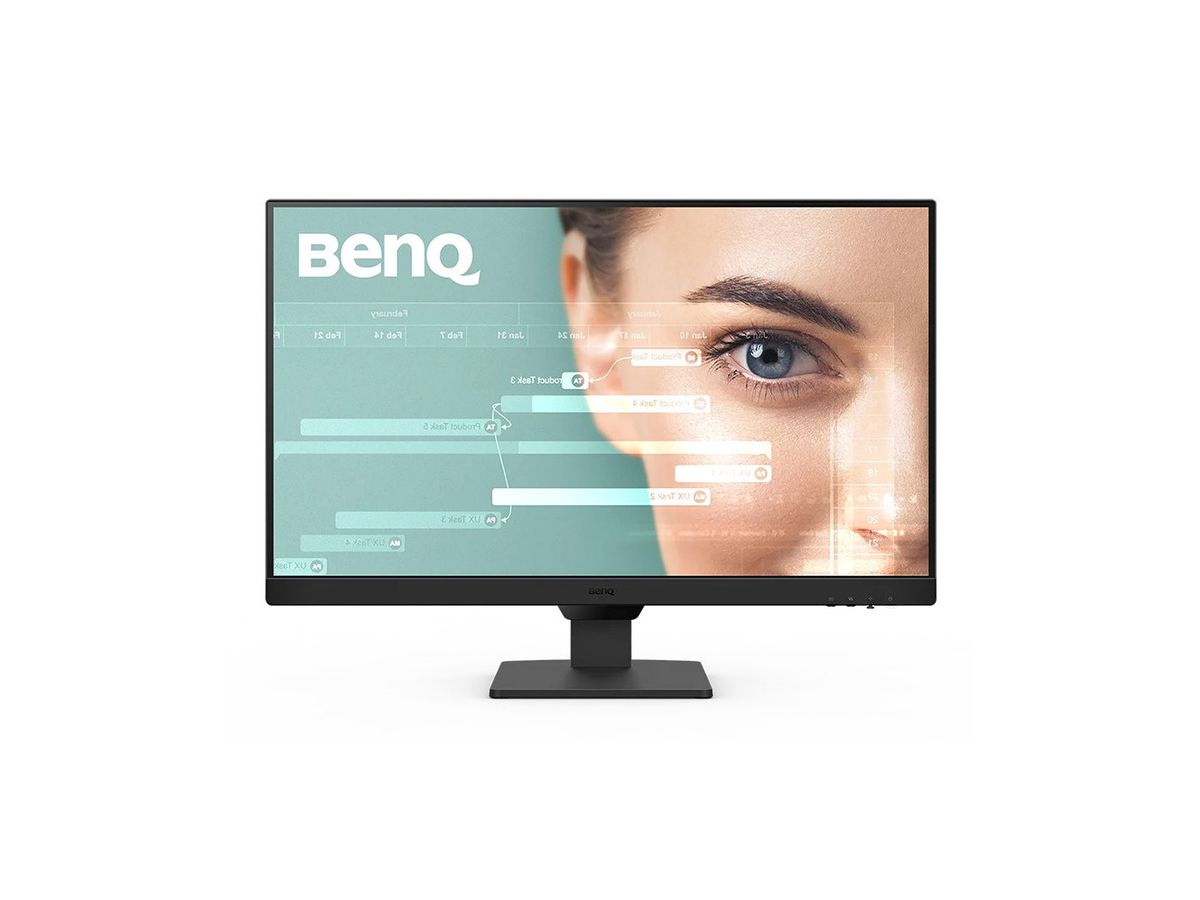 BenQ GW2490T Computerbildschirm 60,5 cm (23.8") 1920 x 1080 Pixel Full HD Schwarz