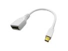 ROLINE DisplayPort Kabeladapter, DP BU - Mini DP ST