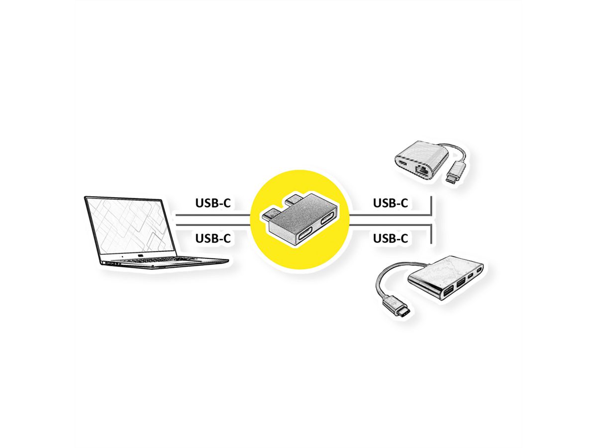 ROLINE USB 3.2 Gen 2 Adapter, 2x USB Typ C - 2x Typ C, ST/BU, silberfarben