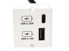 BACHMANN Custom Modul USB Charger Typ A & C 22W, Quickcharge, weiß