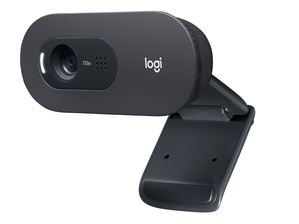 Logitech C505 Webcam 1280 x 720 Pixel USB Schwarz