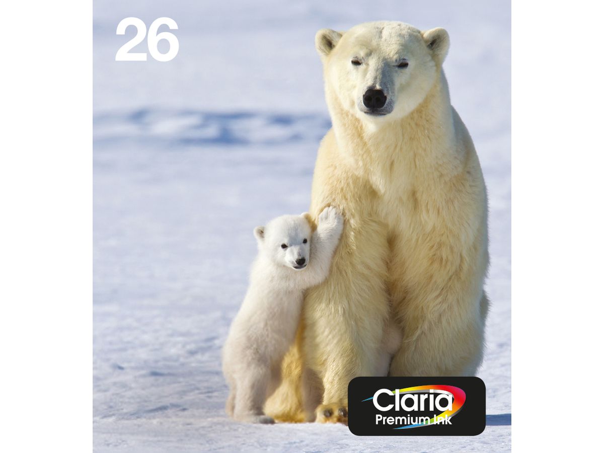 Epson Polar bear Multipack 4-colours 26 EasyMail