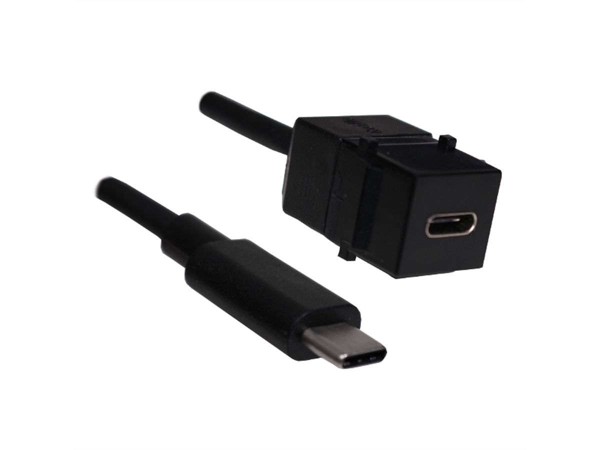 BACHMANN Keystone USB 3.1 Kupplung Typ C, Buchse/Stecker, 0,5 m