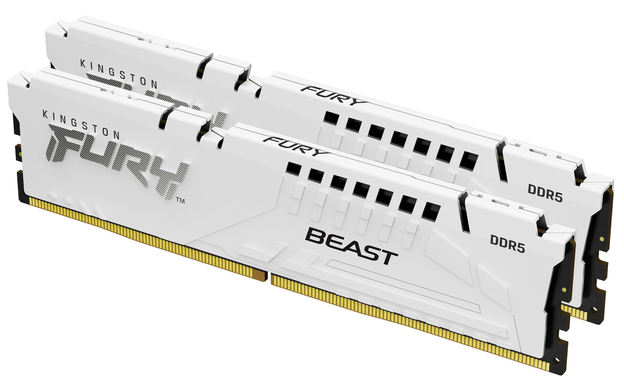 Kingston Technology FURY Beast 32GB 5600MT/s DDR5 CL36 DIMM (2er-Kit) White EXPO