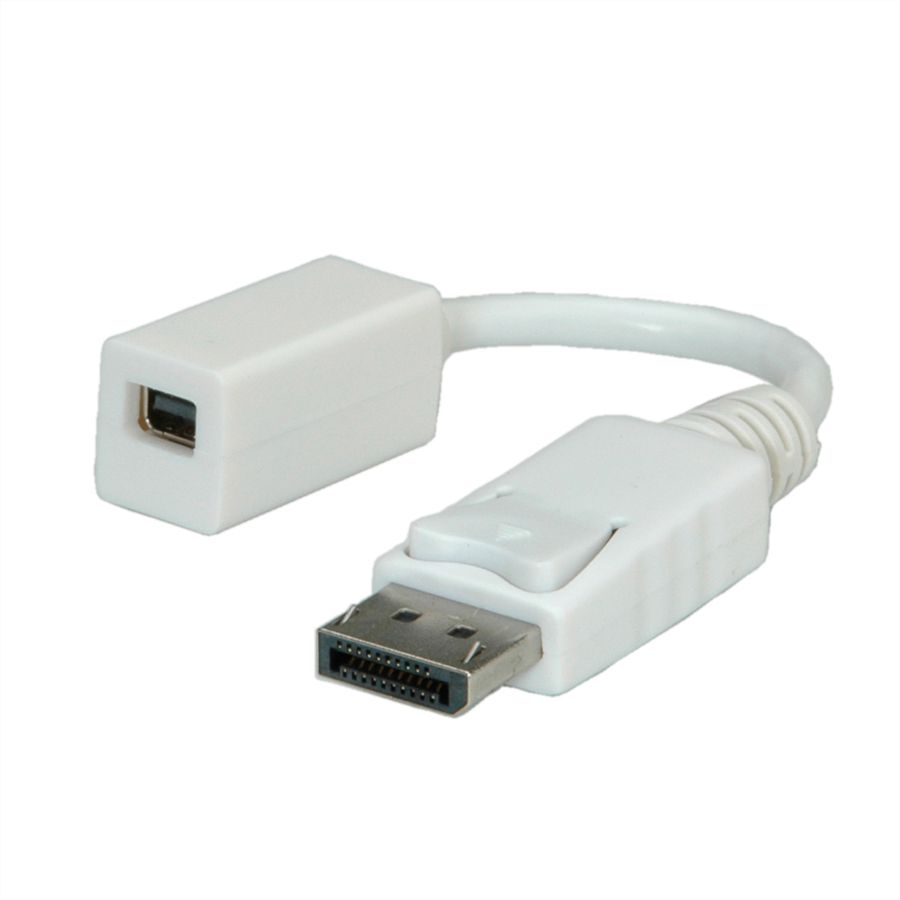 ROLINE DisplayPort Adapter, DP Stecker - Mini DP Buchse