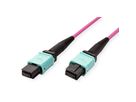 VALUE MPO-Trunk-Kabel 50/125µm OM4, MPO/MPO, TYPE A, violett, 5 m