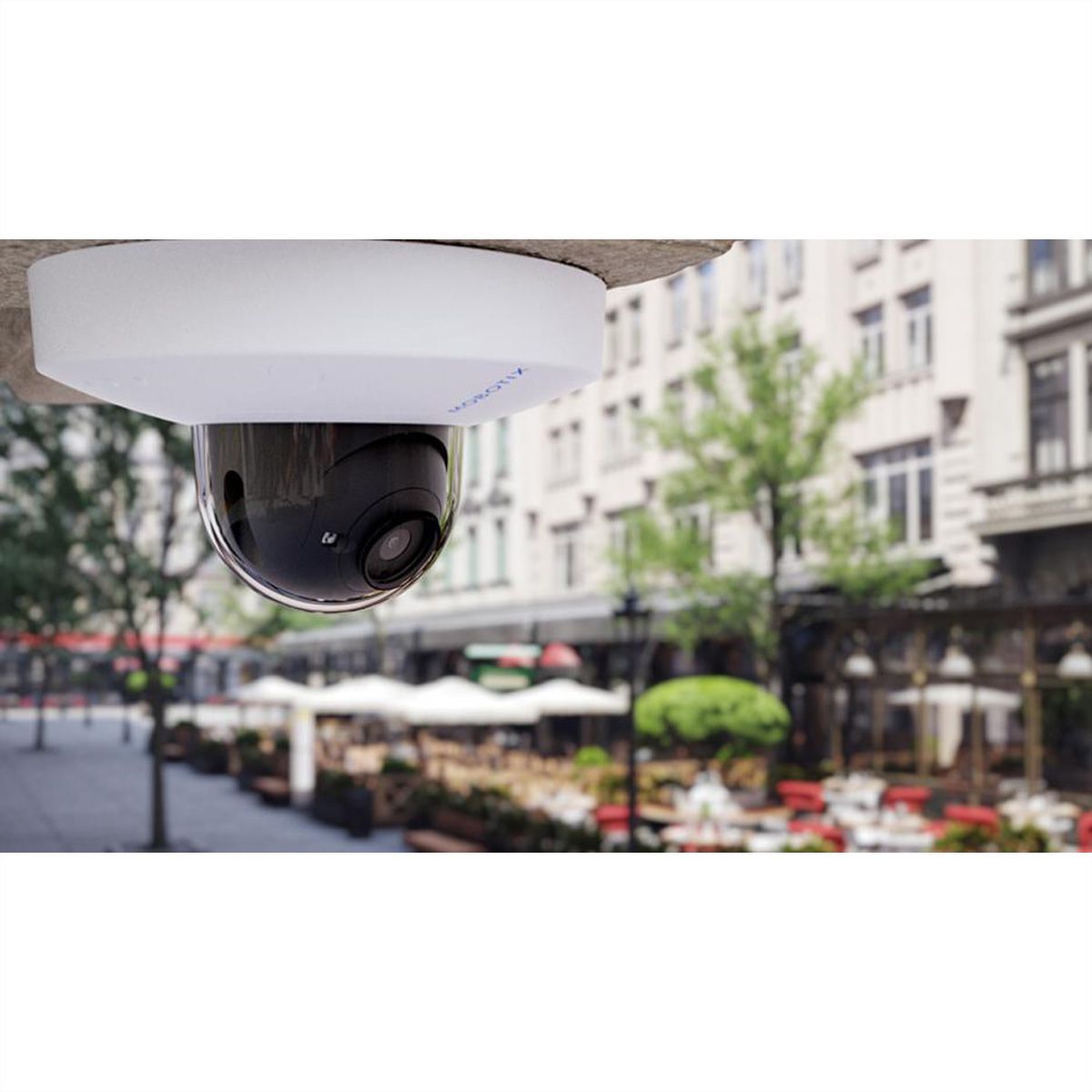 MOBOTIX D71B Dome Kamera 8 MP, 45°, IR-LED 30m