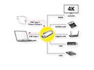 ROLINE USB 3.2 Gen 2 Typ C Multiport Docking Station, 4K HDMI, Card Reader, LAN