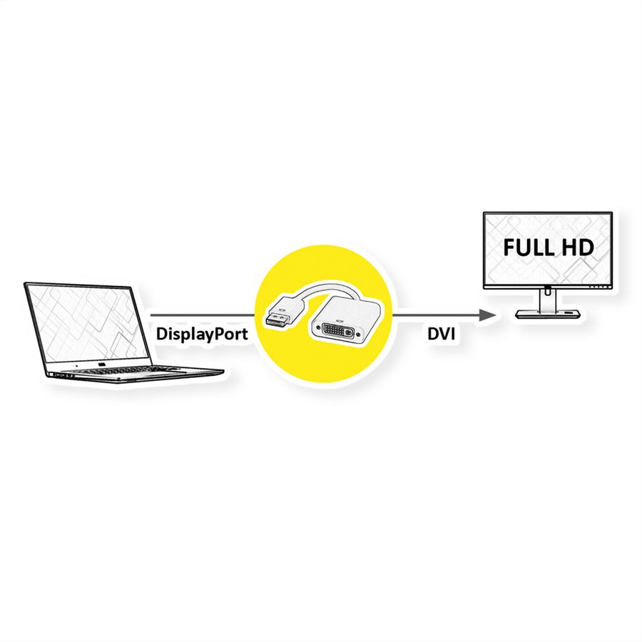 ROLINE DisplayPort-DVI Adapter, DP Stecker-DVI Buchse