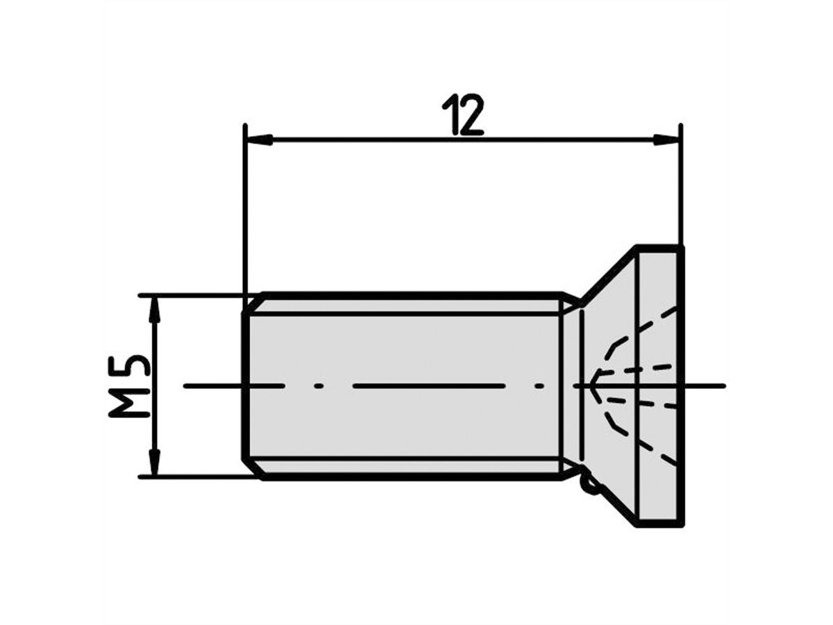 SCHROFF Schrauben zur Modul- und Profilschienenbefestigung - NTS SENKSCHR.M5X12 10STK