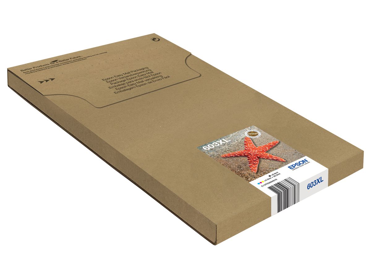 Epson Multipack 4-colours 603XL EasyMail