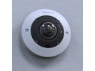 MOBOTIX MOVE Fish-Eye Indoor-Kamera 12 MP, 360°, IR-LED bis 10m