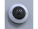 Mobotix Move Indoor Fisheye Kamera 12 MP, 180°/360°, IR-LED bis 10m