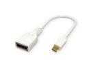 ROLINE DisplayPort Kabeladapter, DP BU - Mini DP ST