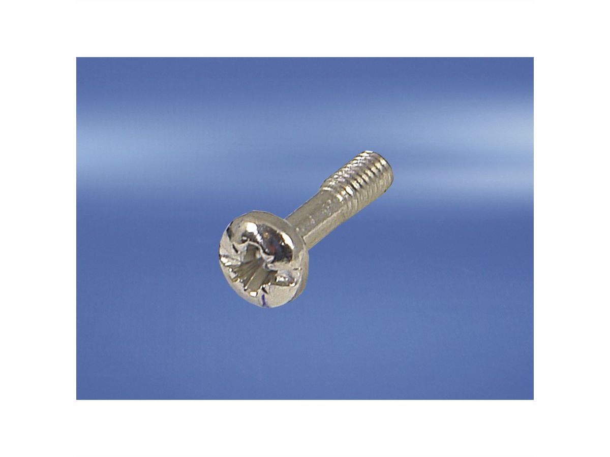 SCHROFF Halsschraube mit Kreuzschlitz/Schlitz - HALSSCHR.M.KR.M2,5 SCH. 100S