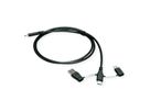 ROLINE USB 2.0 Kabel Typ C, ST/ST, mit Datenblockier-Adaptern Typ A+C, 1 m