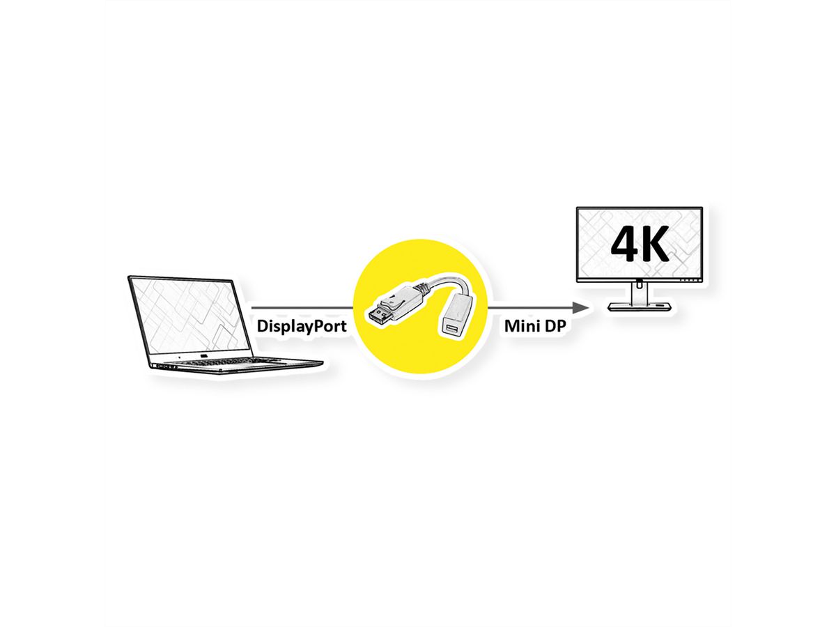 ROLINE DisplayPort Adapter, DP Stecker - Mini DP Buchse