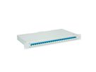 TELEGÄRTNER BASIS eco LWL-Panel mit Kupplungen, 24x LC Duplex, blau, OS2