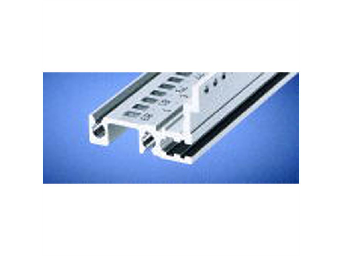 SCHROFF Typ H-MZ stabil, mit Z-Schiene - MODULSCH. HINTEN 1MT H MZ